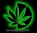 ...�o�...Rasta-Pwincess...�o�...